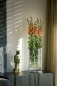 Preview: Glasvase Blumenvase schmal Philippi online kaufen - artigo wohndesign