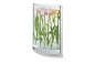 Preview: Glasvase Blumenvase schmal Philippi online kaufen - artigo wohndesign