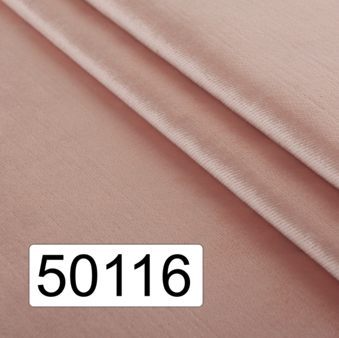50116