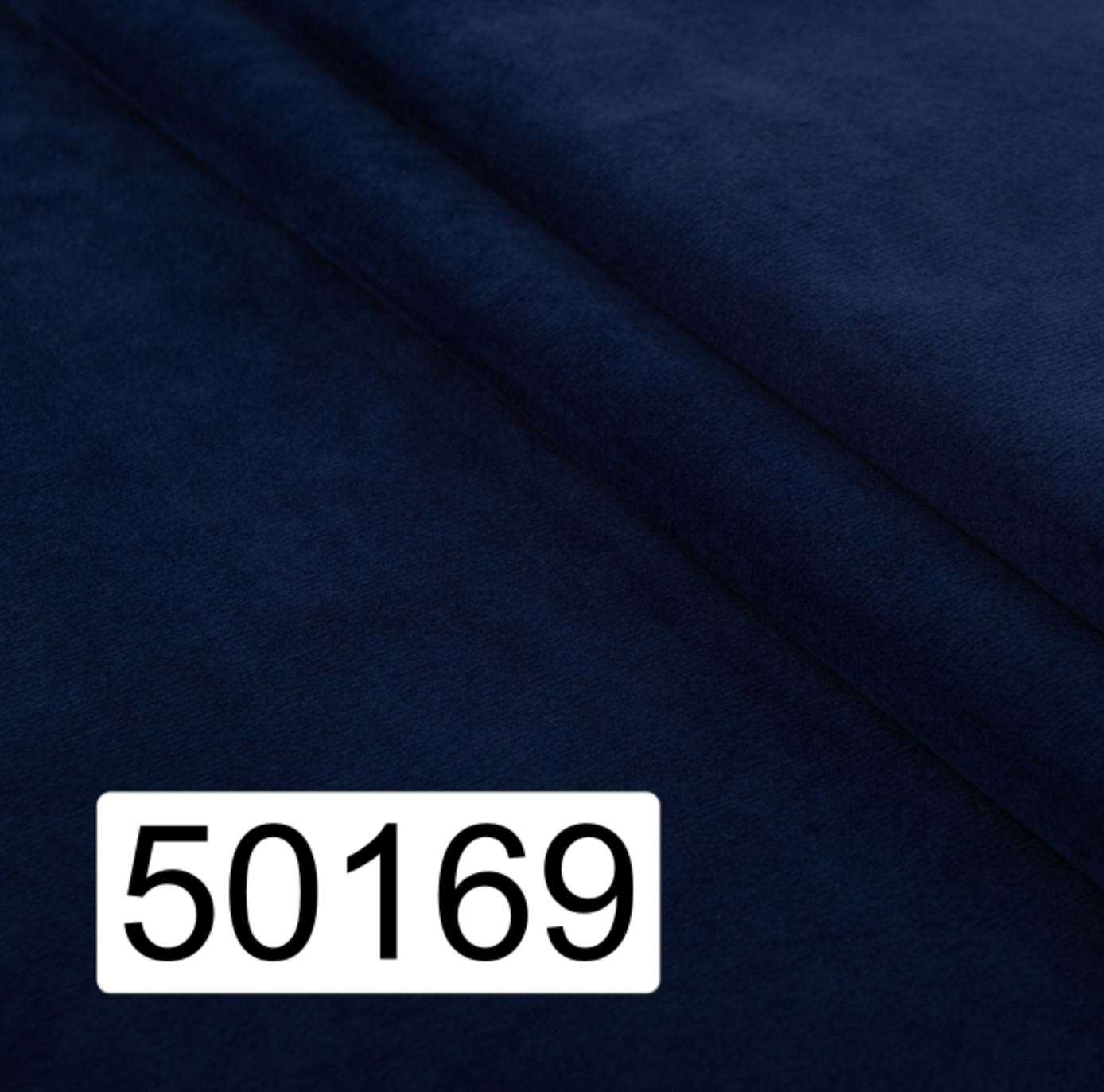 50169