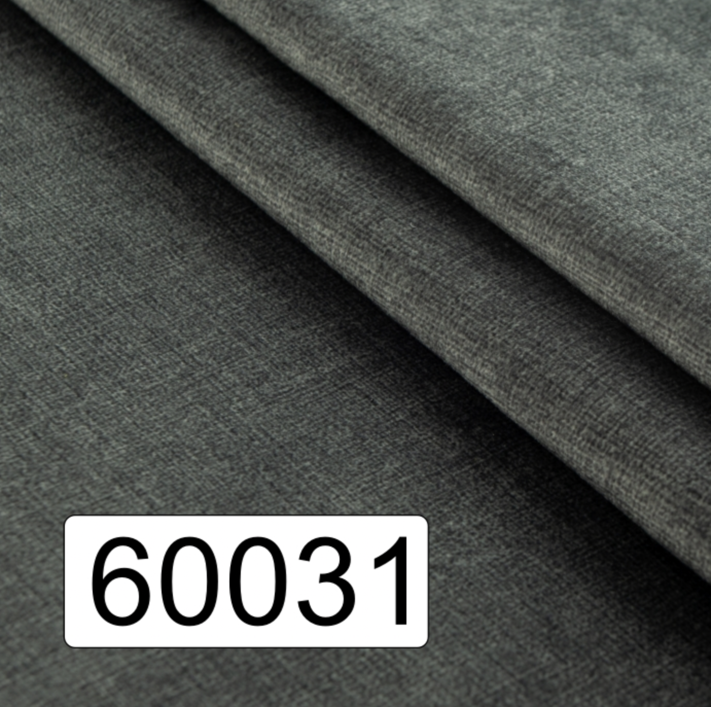60031
