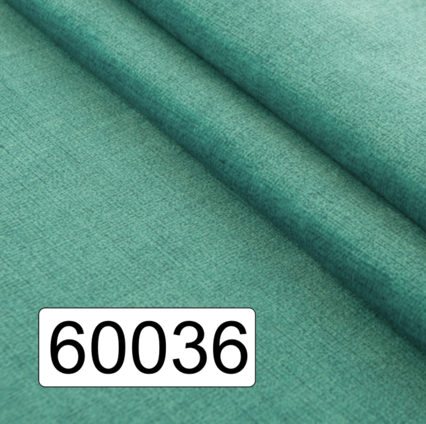 60036