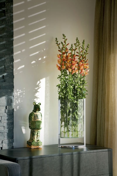 Glasvase Blumenvase schmal Philippi online kaufen - artigo wohndesign